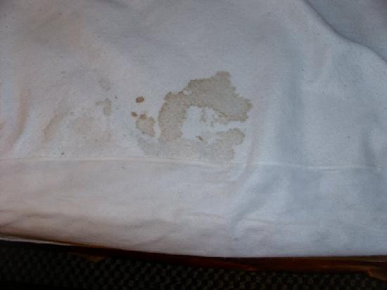 Executive Inn And Suites