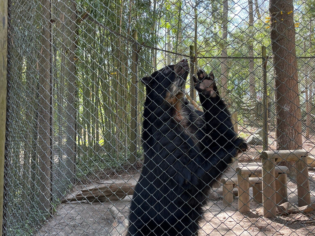 Salisbury Zoo-索尔兹伯里必去景点