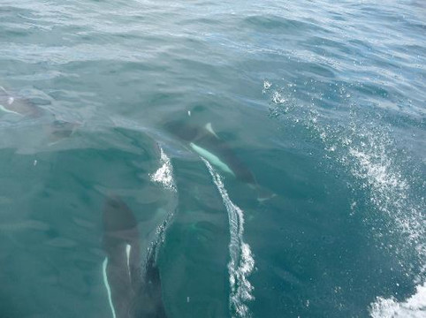 Liquid Adventures-苏厄德必去景点