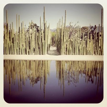 Jardin Etnobotanico de Oaxaca-瓦哈卡必去景点