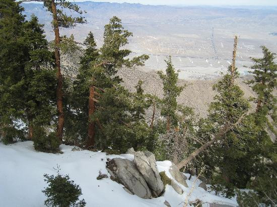 棕榈泉空中缆车-棕榈泉市必去景点