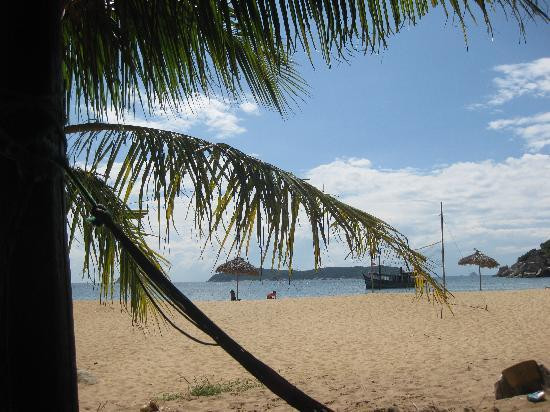 Cham Island Diving景点图片