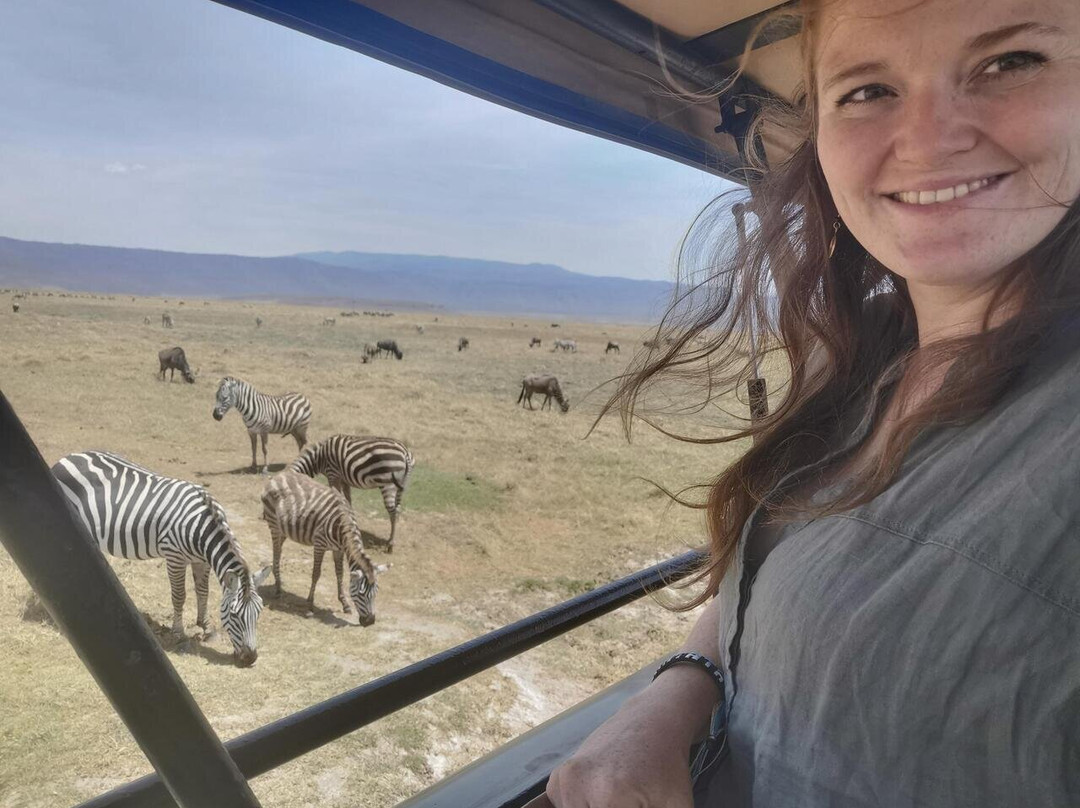 African Delight Safari-莫西必去景点