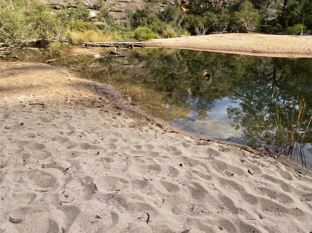 Duck Holes Walking Track-格兰布鲁克必去景点