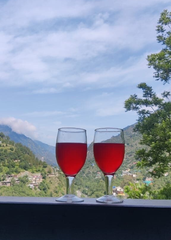 Doris Mountain Cabins主图