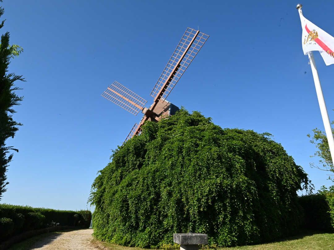Le Moulin de Verzenay景点图片