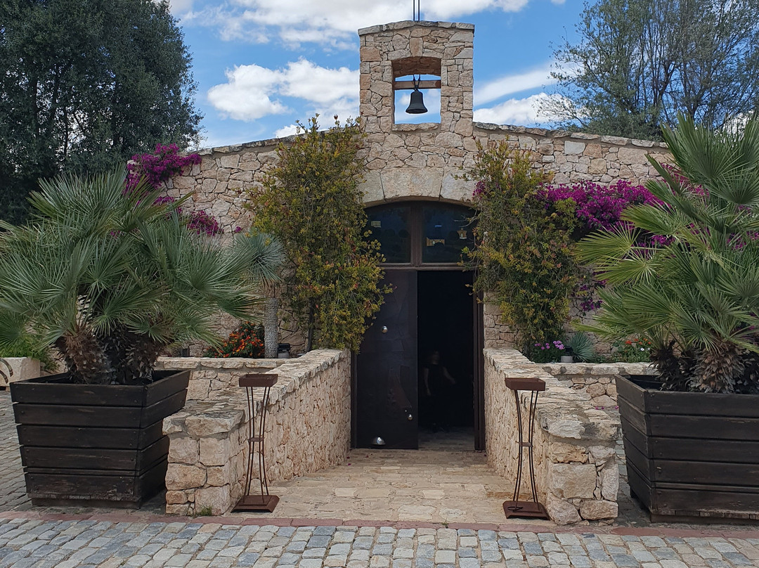Bodegas Francisco Gomez景点图片