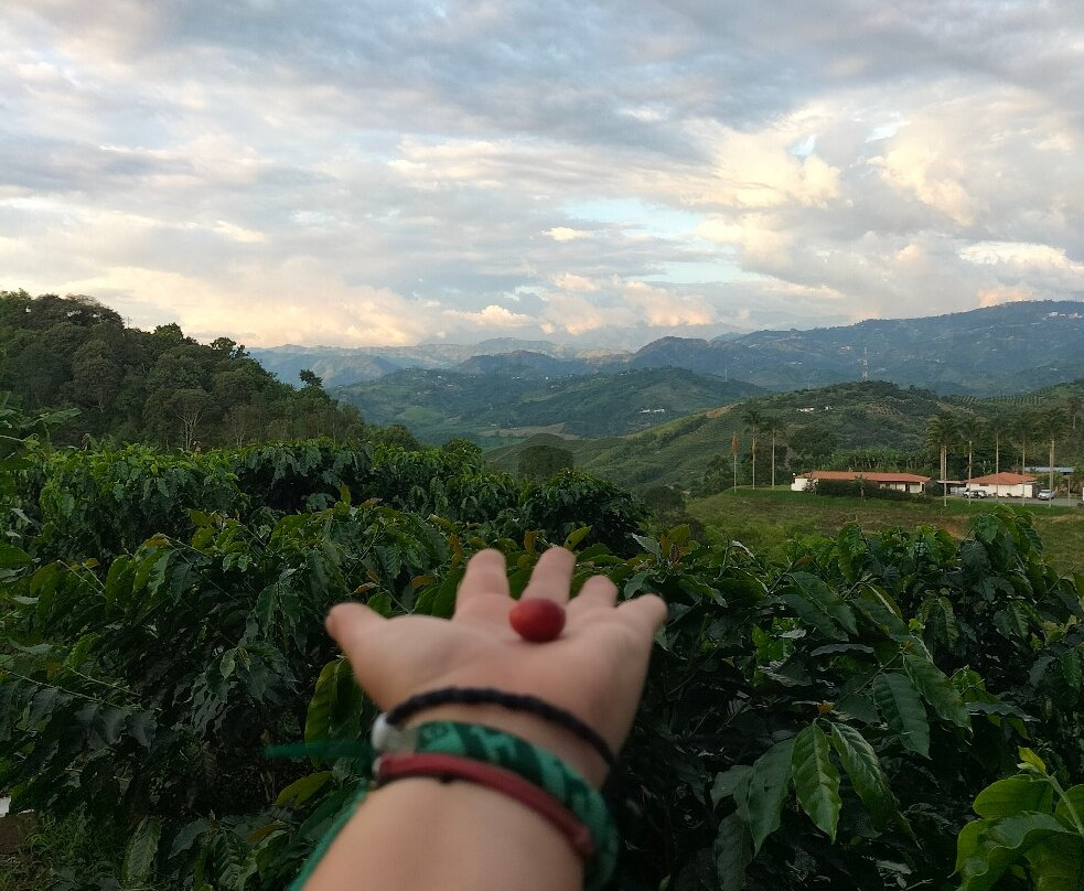 Eje Cafetero Ruta Campesina-Chinchina必去景点
