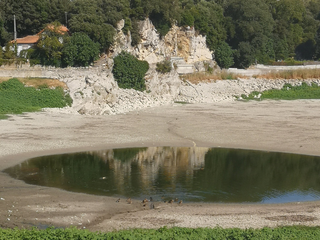 Lac de Besse-sur-Issole景点图片