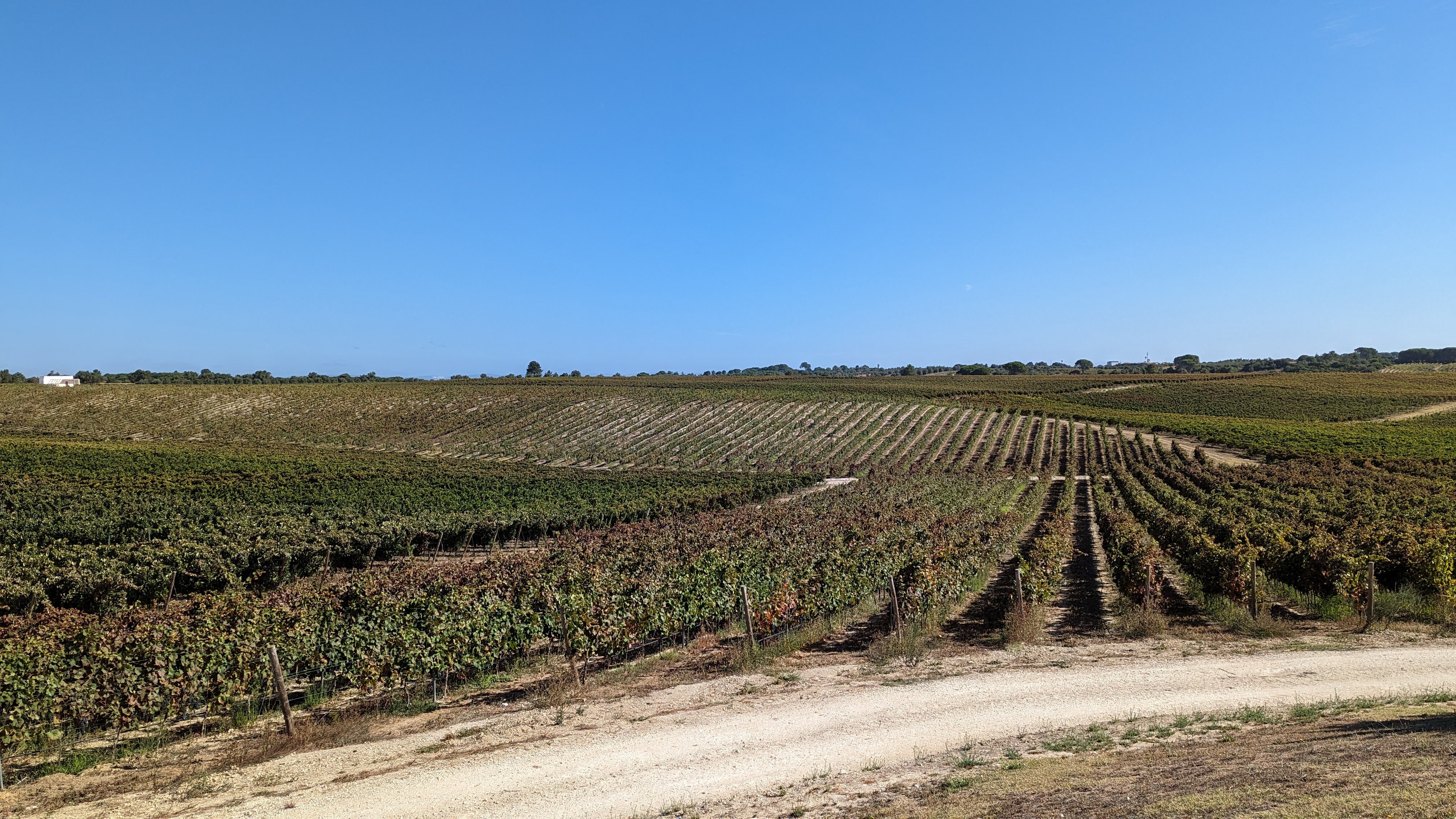 Quinta da Lapa-官方
