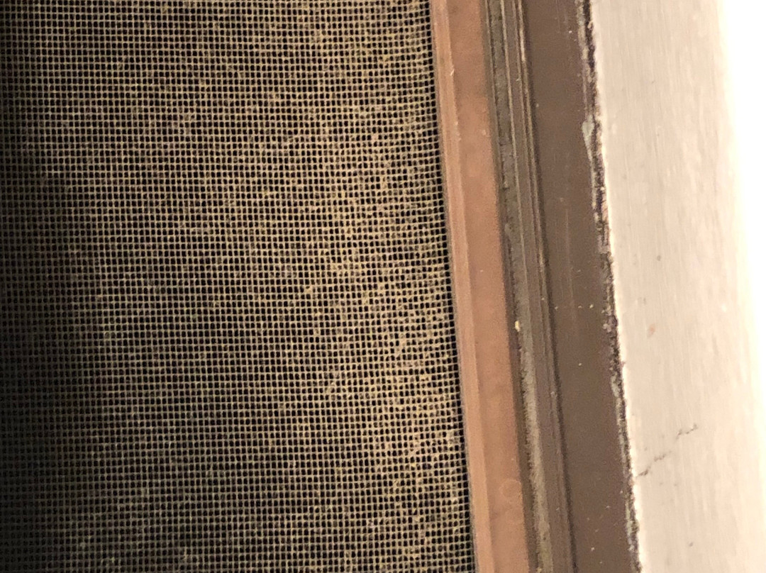 West End Motor Lodge主图