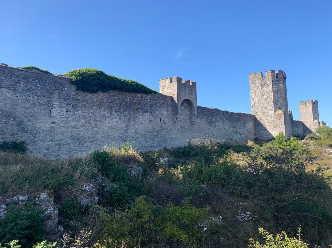 Visby City Wall-维斯比必去景点