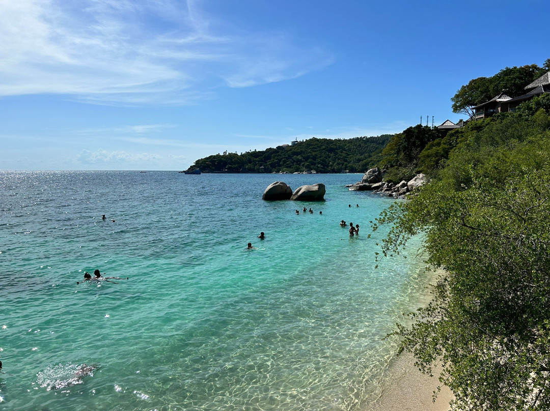 Freedom Beach景点图片