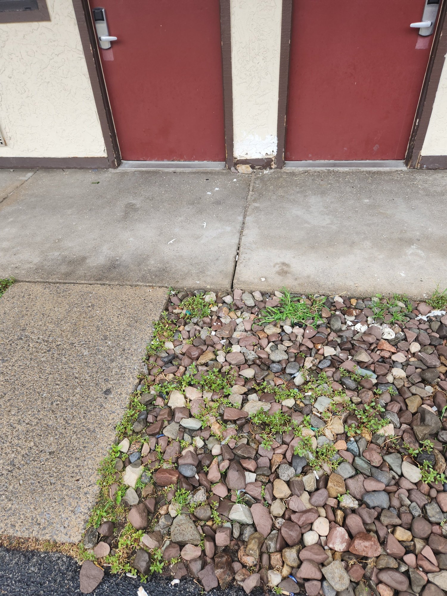 Red Roof PLUS+ University at Buffalo Amherst-浴室