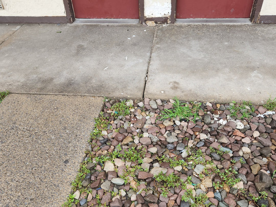 Red Roof PLUS+ University at Buffalo Amherst主图