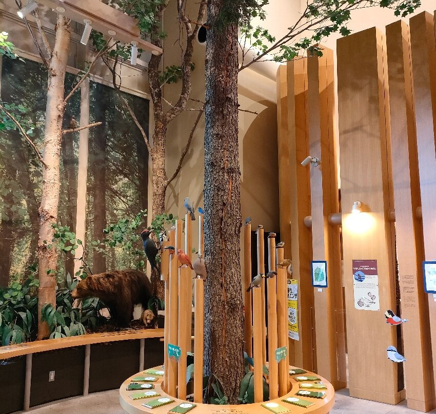 Shikotsuko Visitor Center-千岁市必去景点