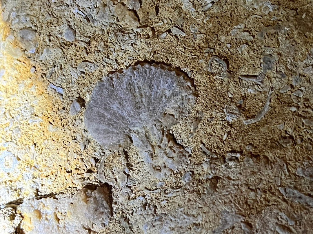 Grotte de la Glacière-Chaux-les-Passavant必去景点