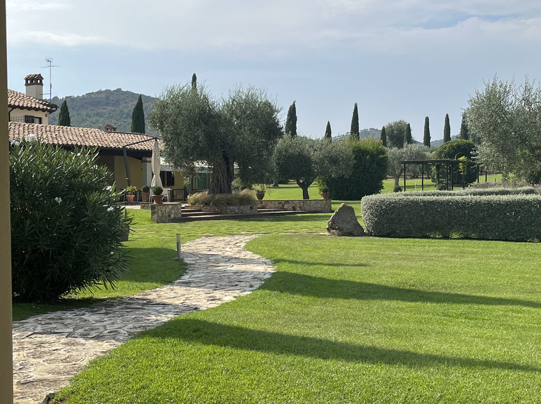Agriturismo Il Casale degli Olivi主图