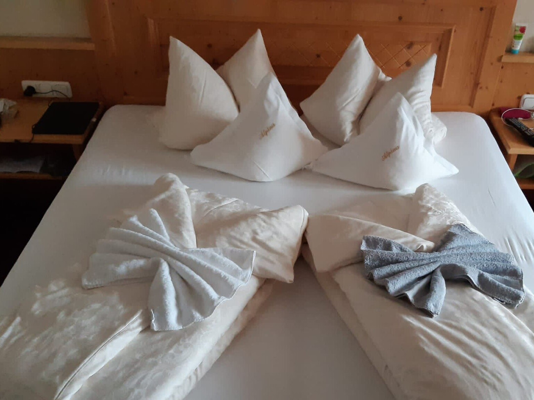 阿尔皮纳及其他公寓酒店主图