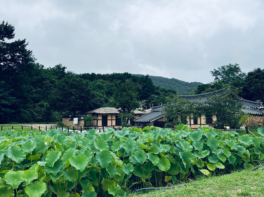 Goseong Wanggok Maeul-高城郡必去景点
