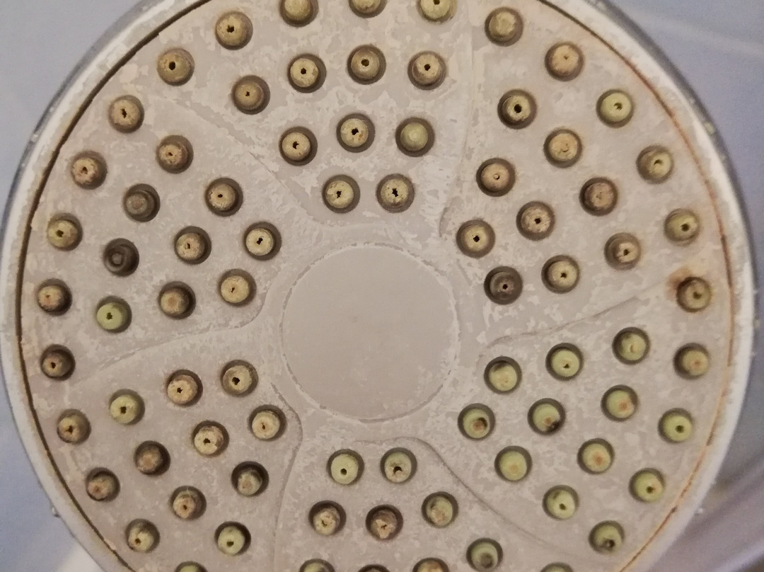 Hotel Klein Wien主图