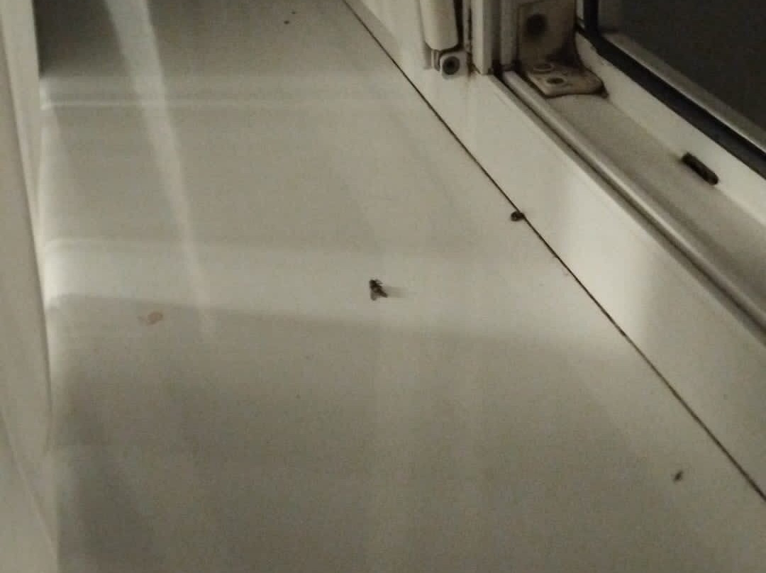 Hotel Gromada Poznan主图