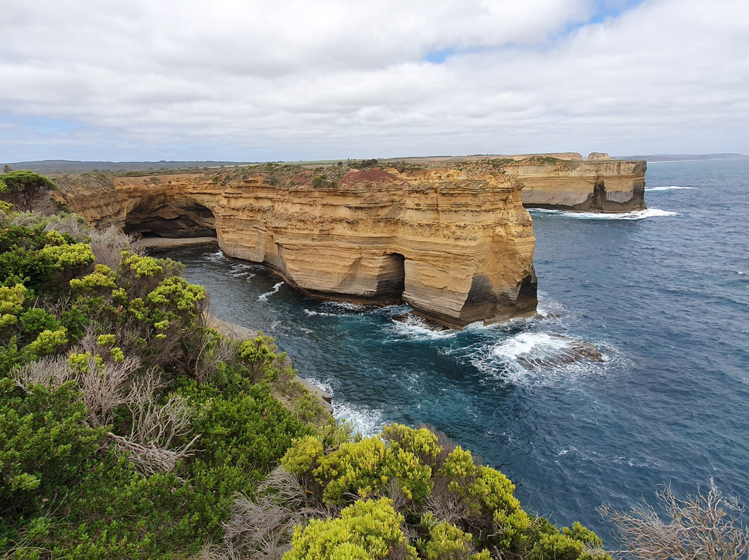 Mutton Bird Lookout-坎贝尔港必去景点
