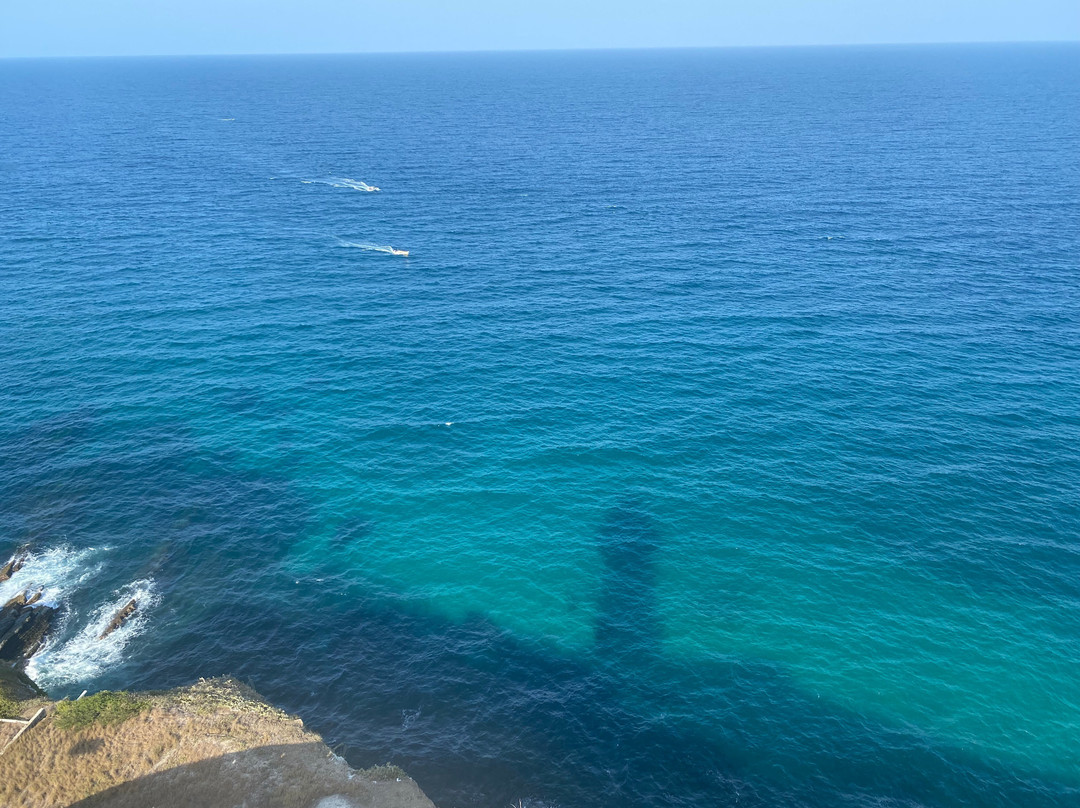 Faro Punta Ballenas景点图片