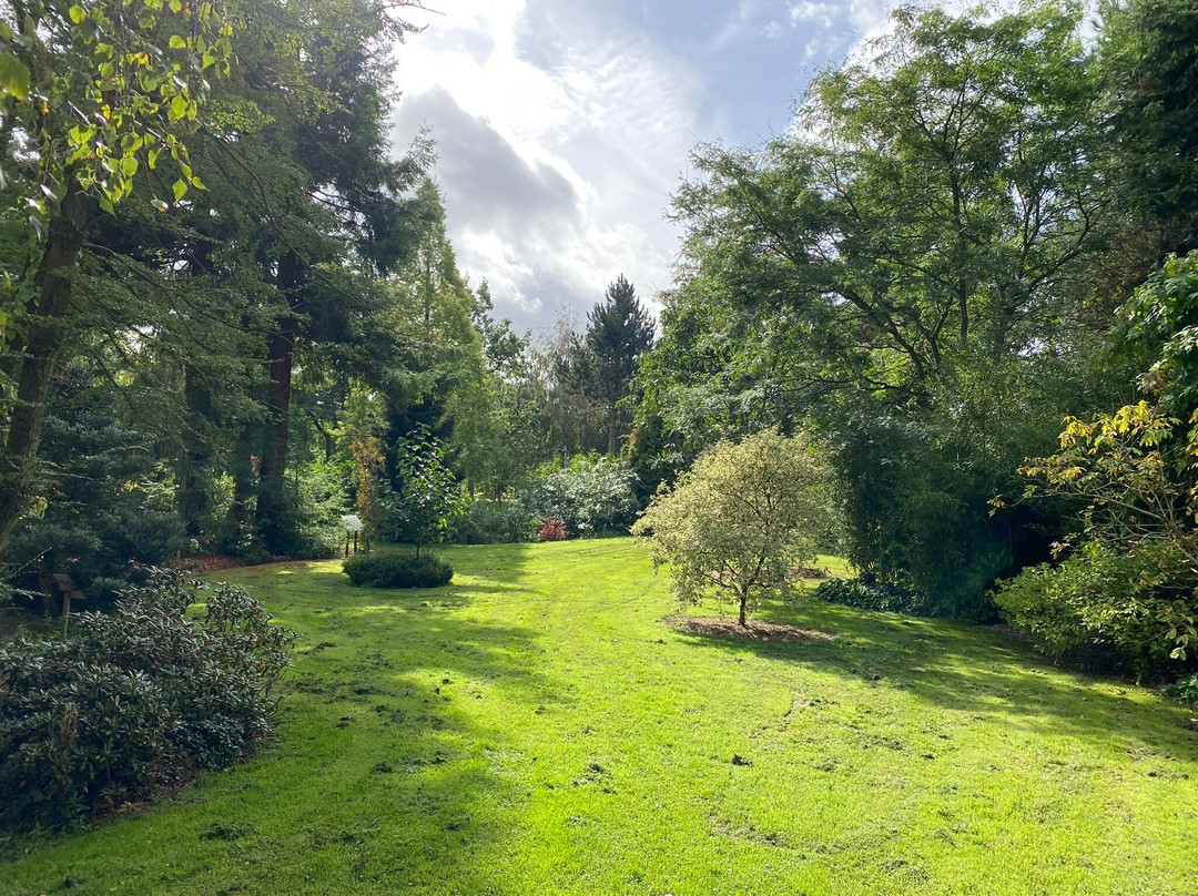 Bluebell Arboretum and Nursery-Smisby必去景点