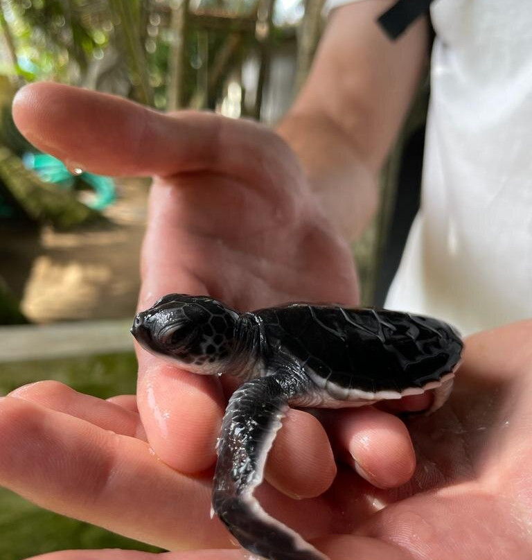 Riu Manga Tours-亚洪加拉必去景点