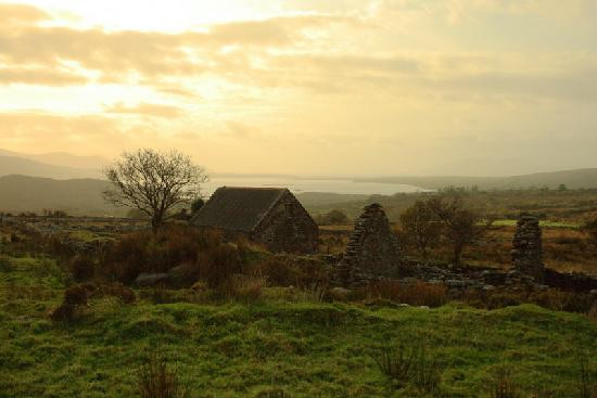 Hidden Kerry - Off The Beaten Track Tours-Ballinskelligs必去景点