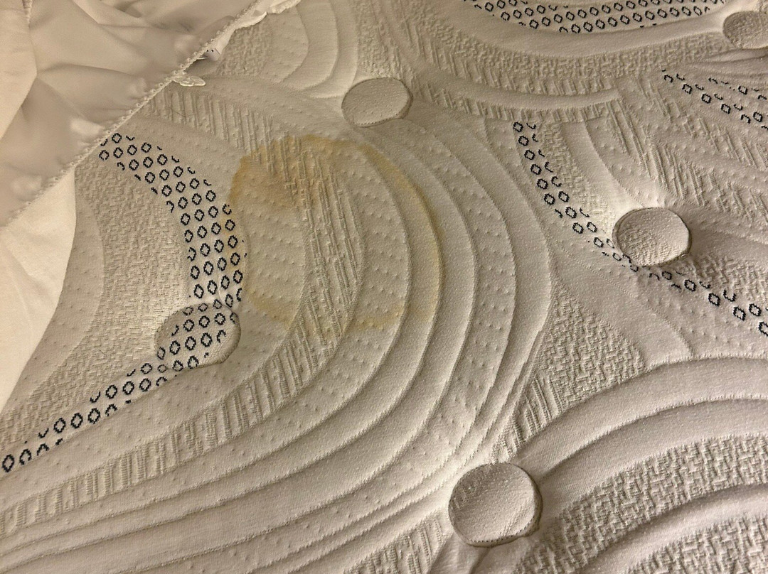 雷丁希尔顿花园酒店主图