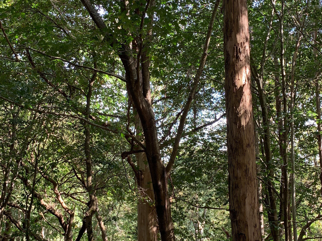 La Finca del Marques de Valdecilla景点图片