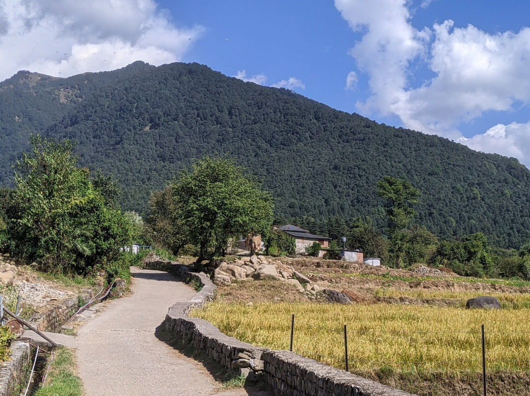 Alaya Retreat Bir主图