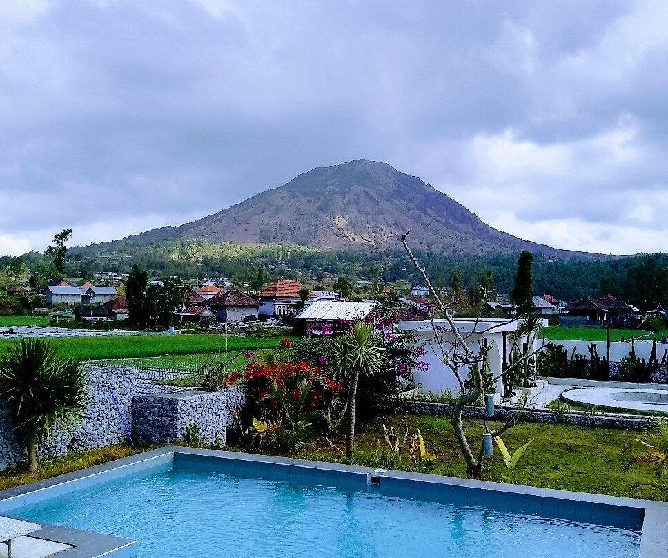 Host @ Volcano主图