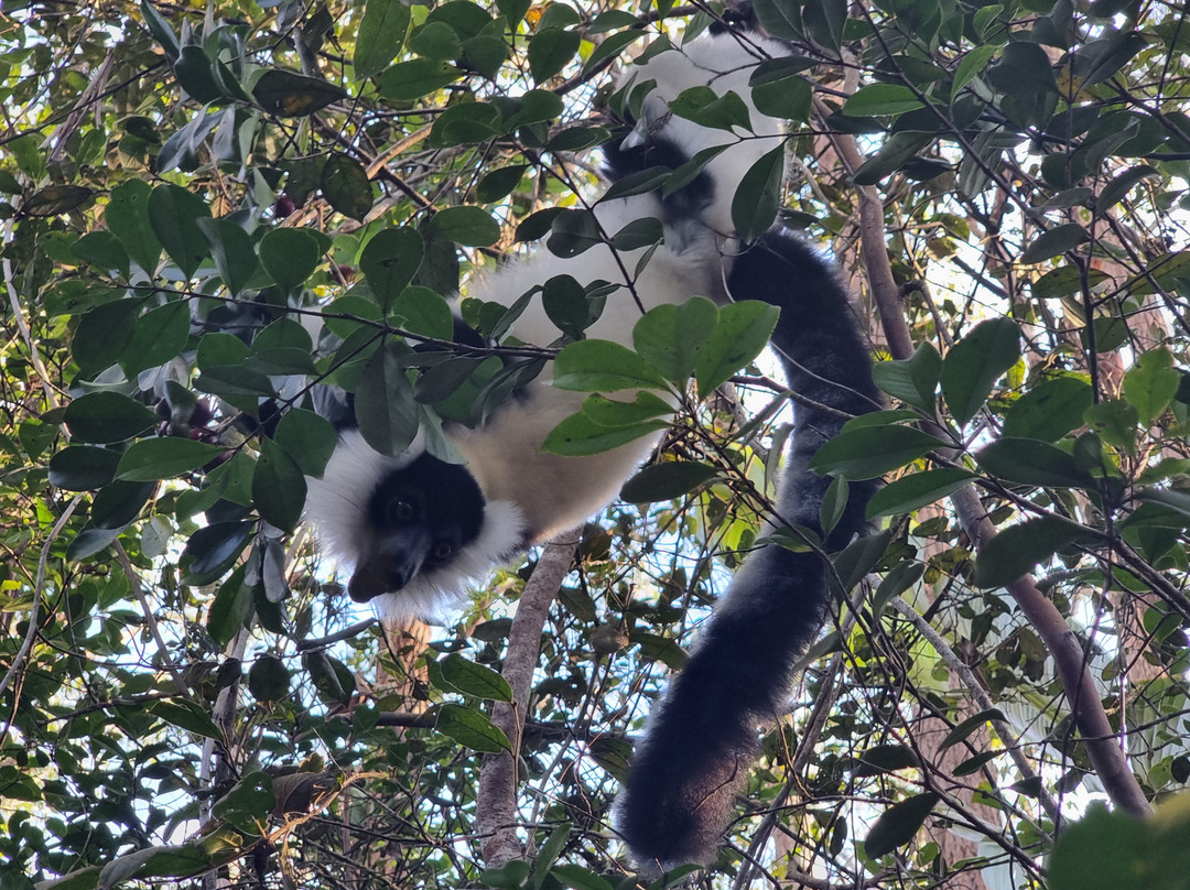 Madagascar Ideal Adventures景点图片