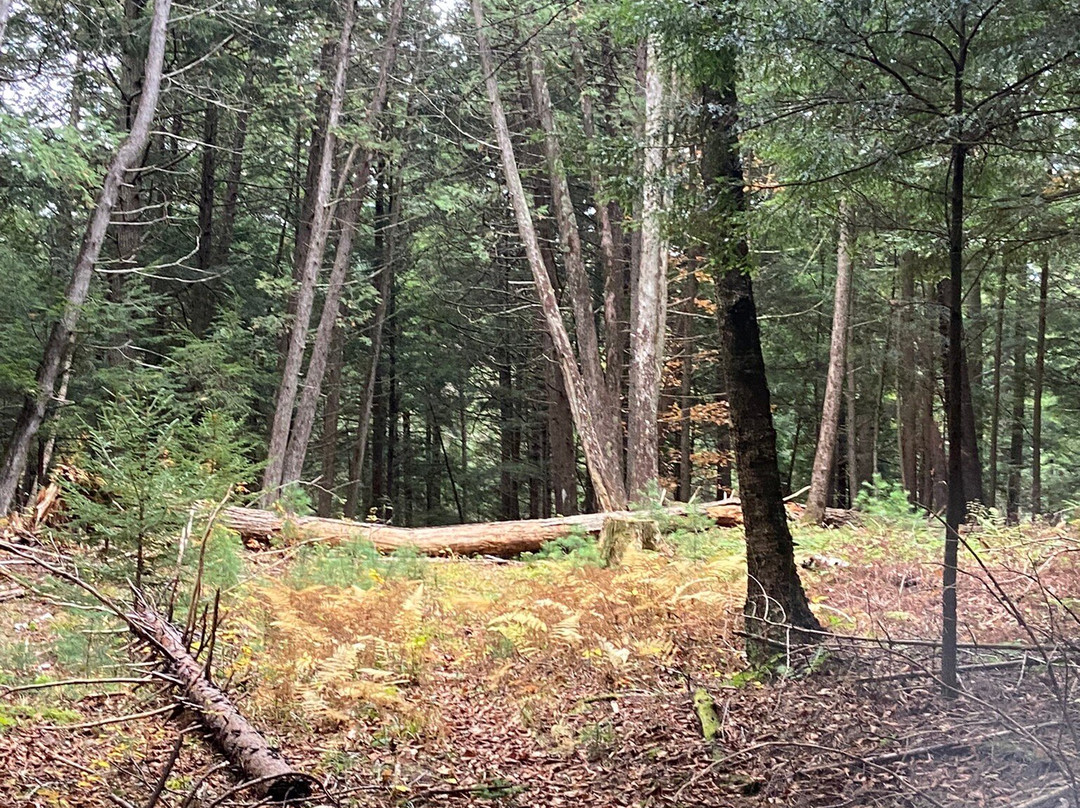 Keene Valley Lodge主图