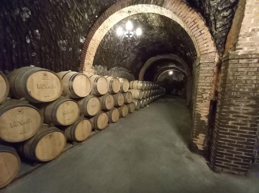 Bodegas Ismael Arroyo景点图片