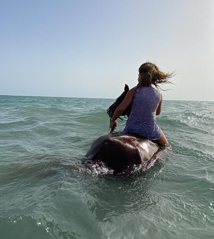 Ranch Yassmina Djerba La Douce景点图片