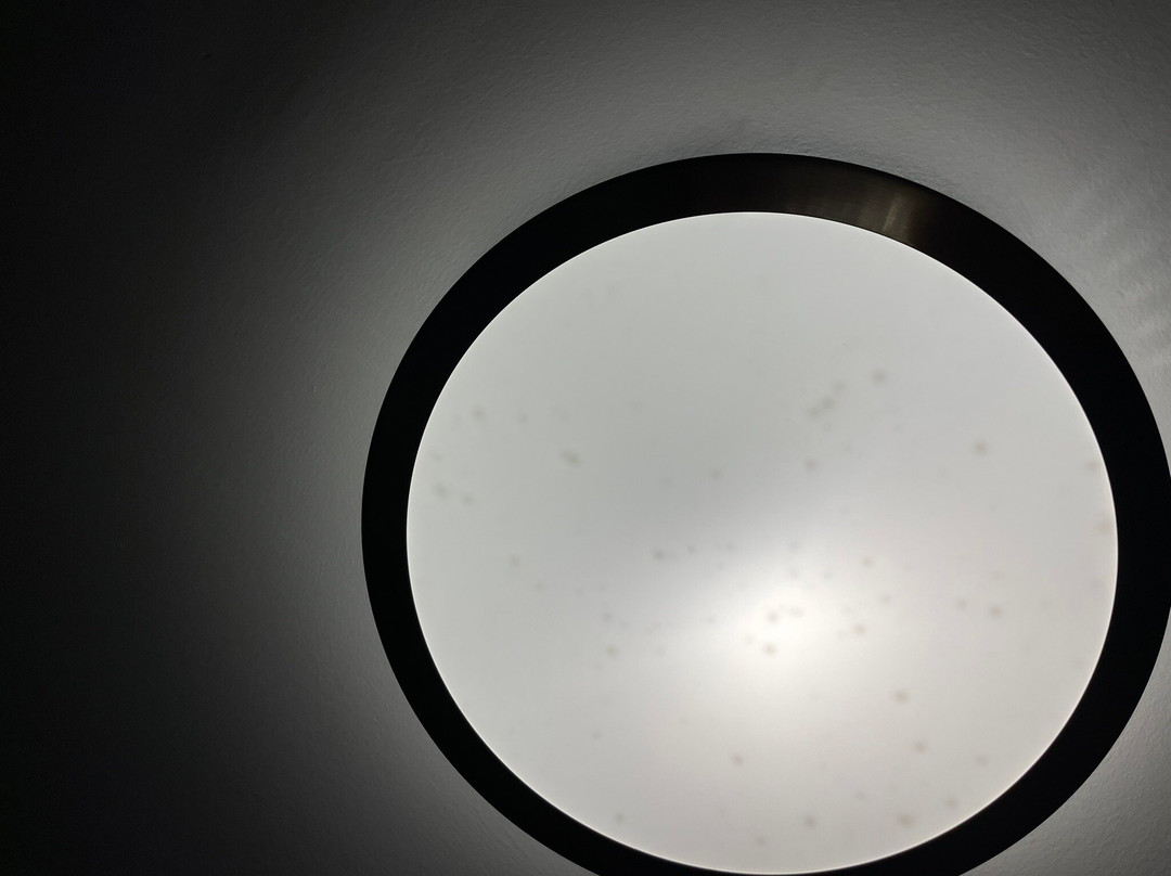 Holiday Inn Express & Suites Madison By IHG主图