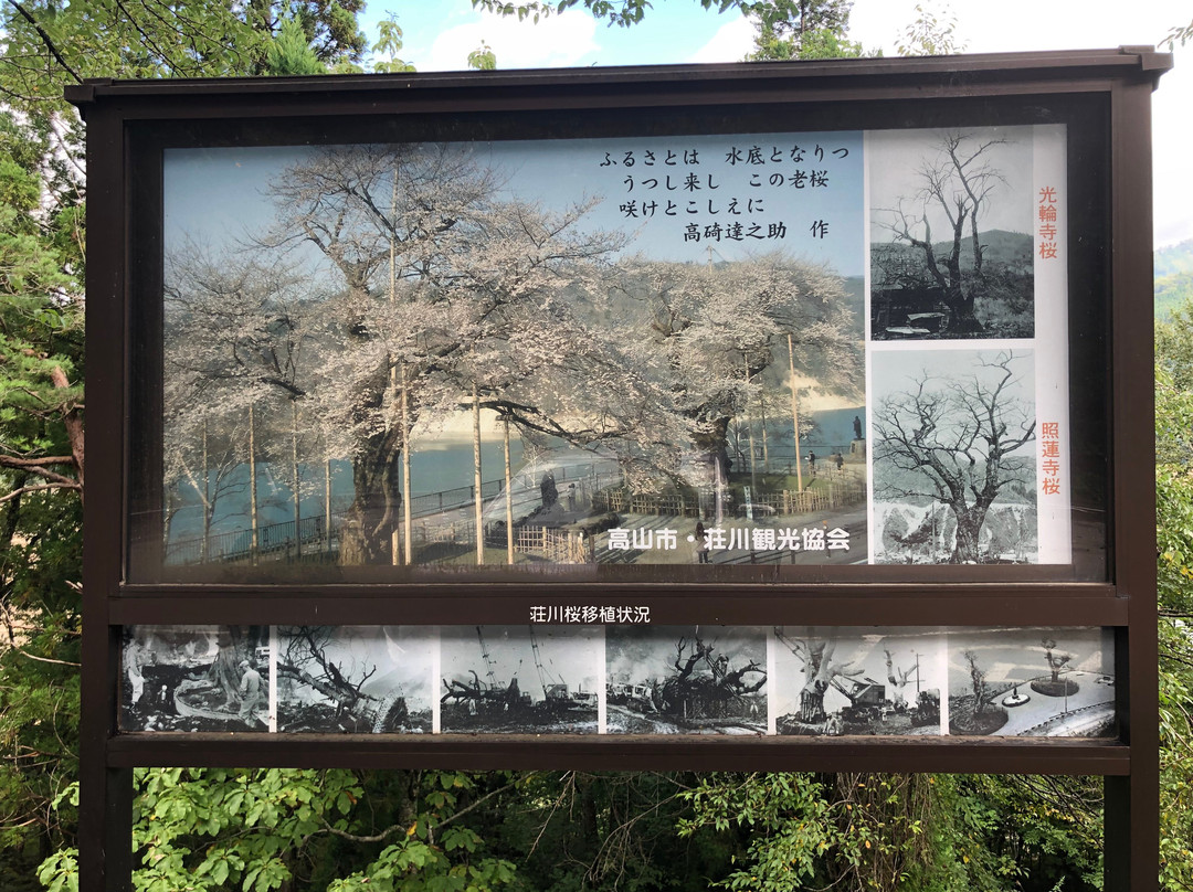 MIBORO Dam Side Park MIBORO Electricity Museum/Shokawa Zakura Memorial-白川村必去景点
