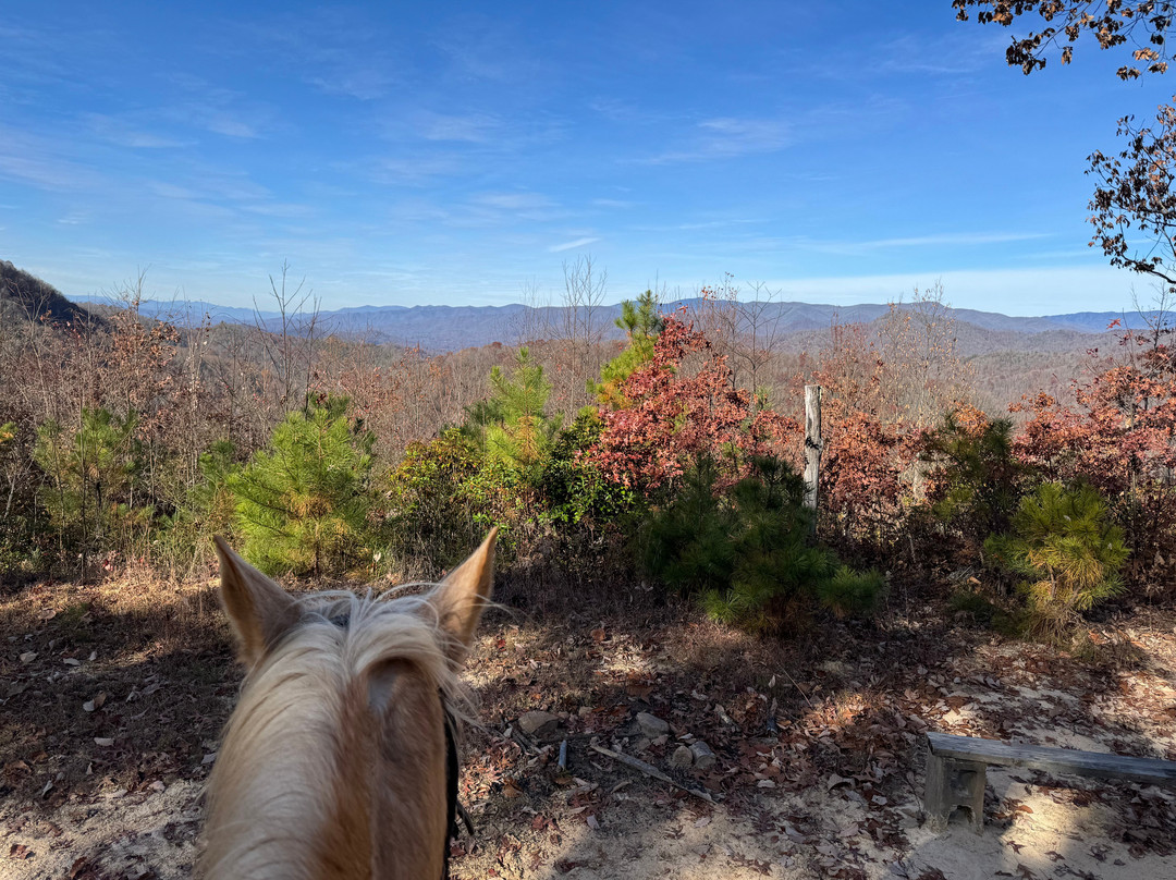 End of the Trail Horseback Riding景点图片