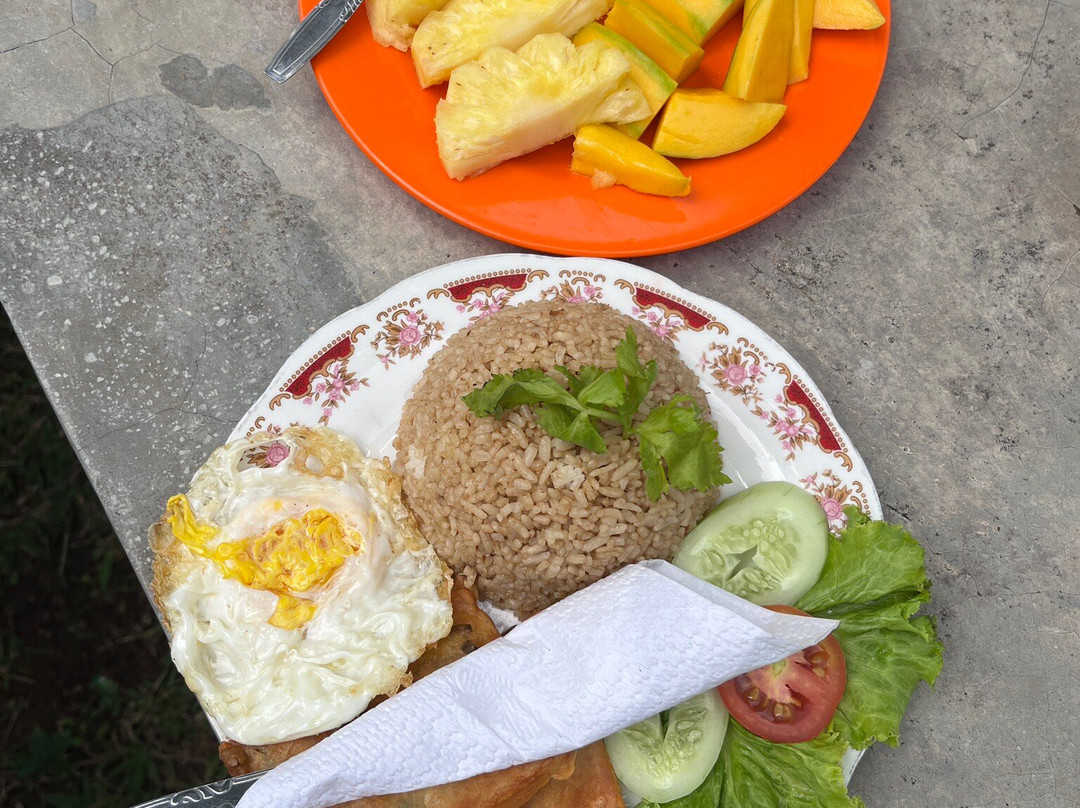 Bogor Halimun National Park Tour景点图片