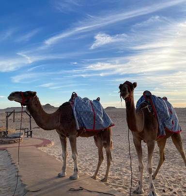 Sahraoui Village-达赫拉必去景点