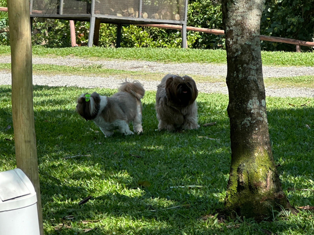 Pousada Gaia Viva主图