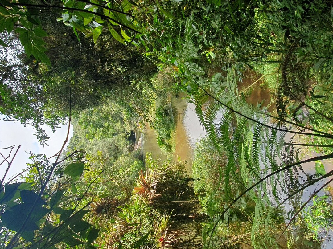 Parque Estadual Serra do Mar-Cunha必去景点