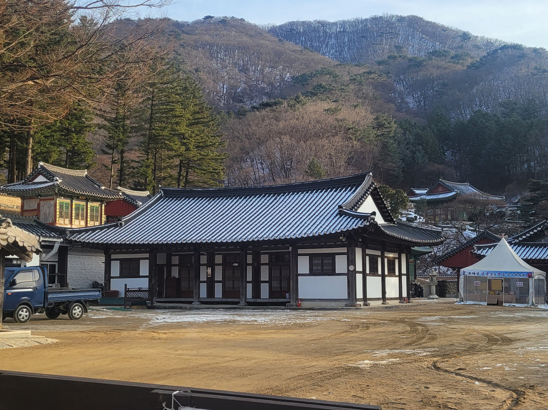 Bogwangsa Temple-坡州市必去景点