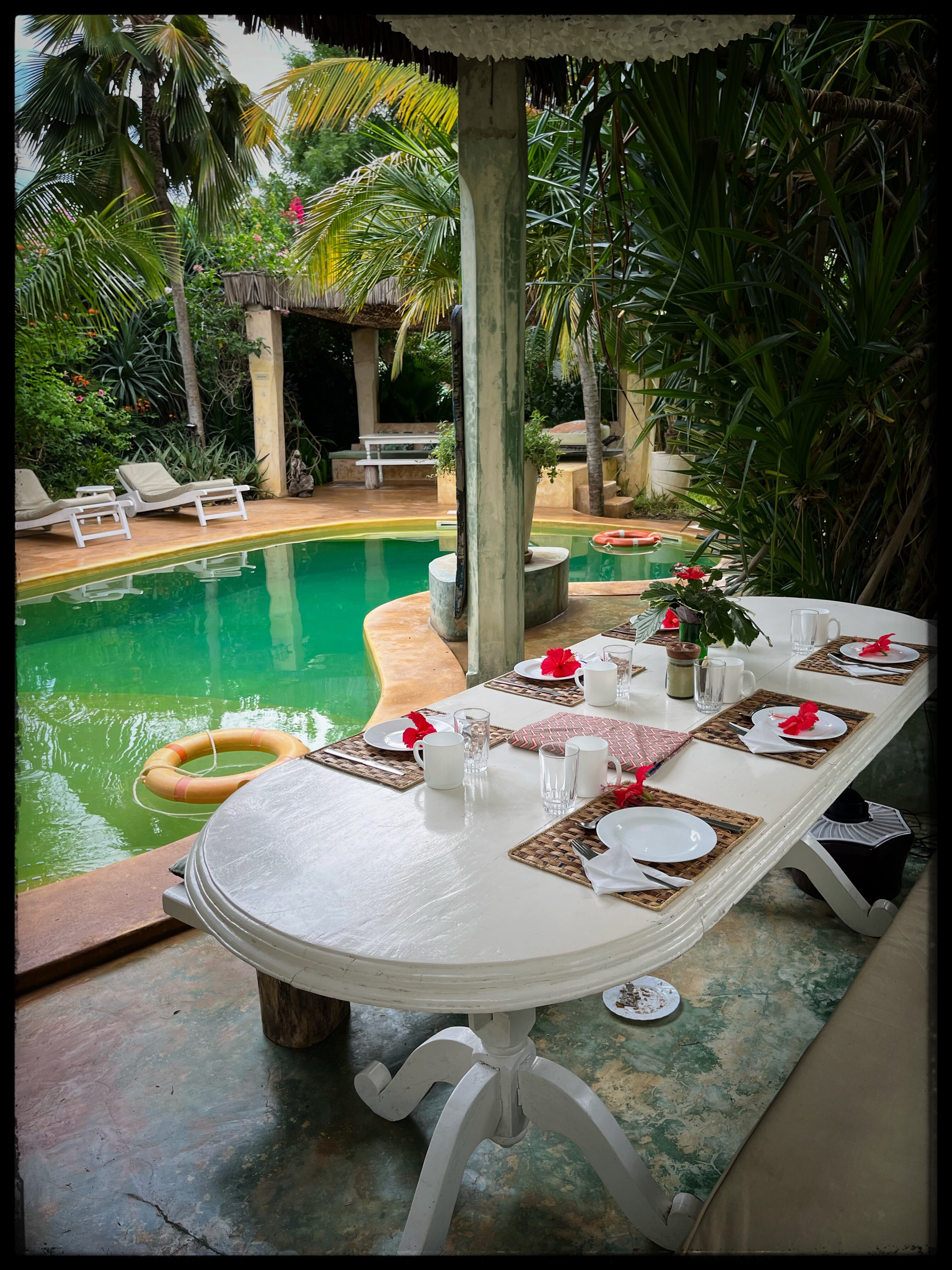 Banana House & Wellness Centre-泳池
