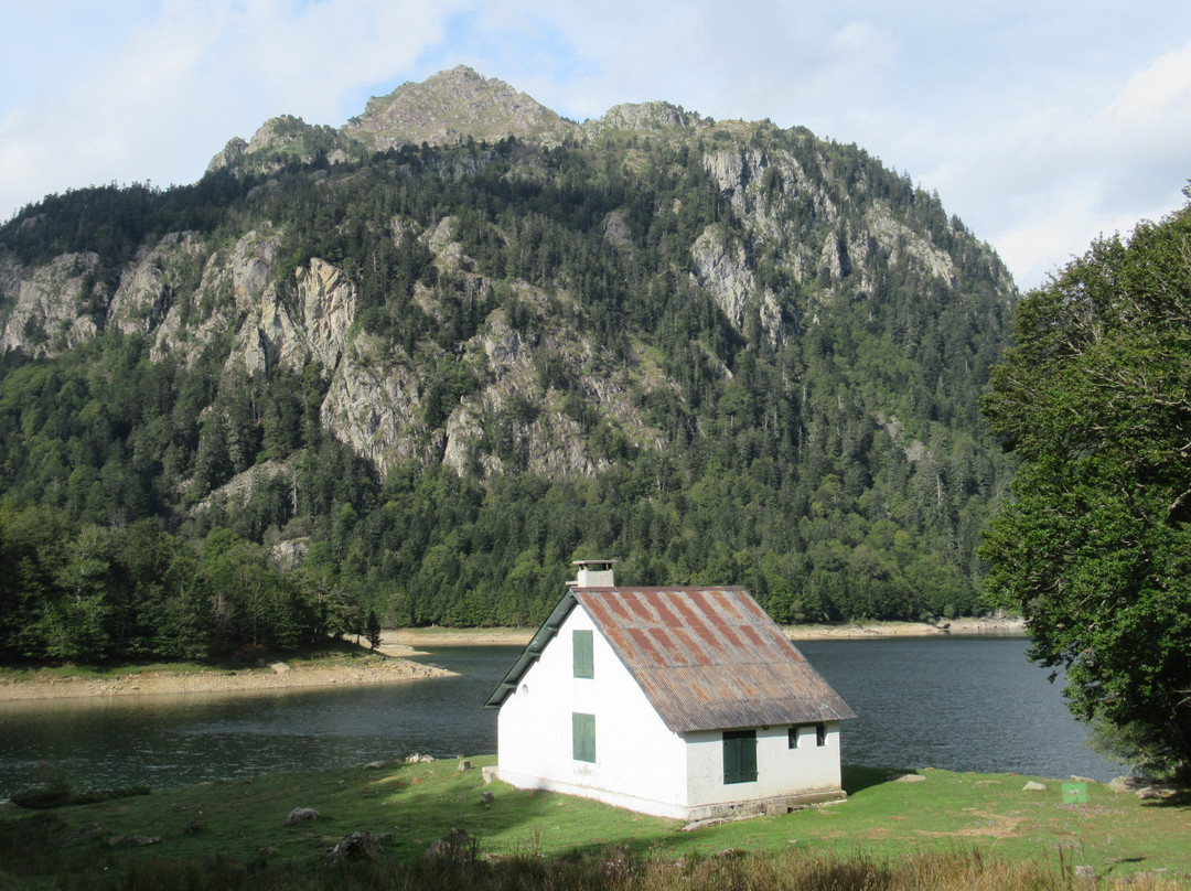 Lac de Bious-Artigues景点图片
