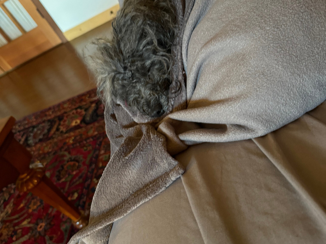 Stanford Inn & Resort主图